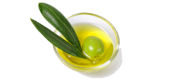 Olive-Oil-PNG-Pic